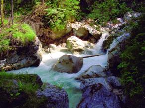 Ein Wildbach mit großen Felsblöcken