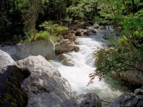 Ein Wildbach mit großen Felsblöcken