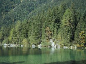 Der Hintersee