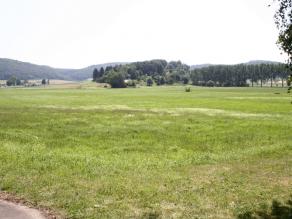 Blick vom Dohlenfelsen zum Galgenberg