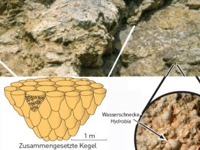 Aufnahme der Felsformation mit herausgestellten Details des Materialaufbaus