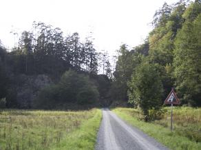 Auf dem Weg zur Steinachklamm