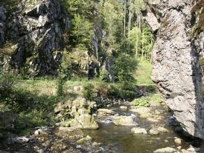 In der Steinachklamm