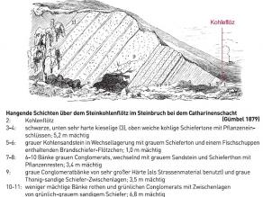 Schnittzeichnung von W. Gümbel: Hangende Schichten über dem Steinkohleflötz im Steinbruch bei dem Catharinenschacht