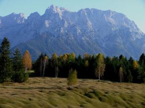 Blick auf die Berge des Karwendel. Davor die Buckelwiesen