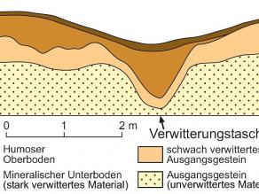 Typischer Querschnitt durch eine Buckelwiese