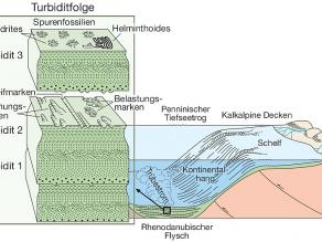 Schemazeichnung der damaligen Tiefsee mit dem Detail der Entstehung der Turbiditfolge