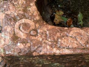 Eine Ecke eines Troges aus dem Gestein mit Ammoniteneinschlüssen