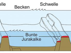 Schematische Darstellung