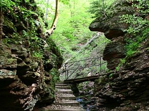 Steig in der Seltenbachschlucht