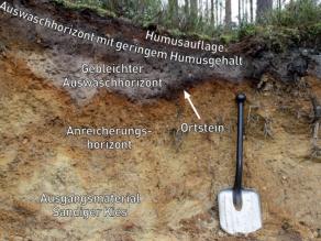 Bodenprofil mit Erläuterung der sichtbaren Schichtenfolgen