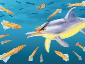 Zeichnung: Belemniten flüchten vor einem Fischsaurier