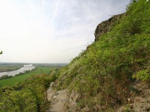 Blick vom Bogenberg