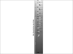 Zeittafel mit (übereinanderliegend dargestellt): Erdfrühzeit (bis vor 545 Mio. Jahren), Erdaltertum (bis vor 250 Mio. Jahren, unterteilt in: Kambrium, Ordovizium, Silur, Devon, Karbon, Perm), Erdmittelalter (bis vor 65 Mio. Jahren, unterteilt in: Trias, Jura, Kreide), Erdneuzeit (bis Heute, unterteilt in: Tertiär, Quartär)