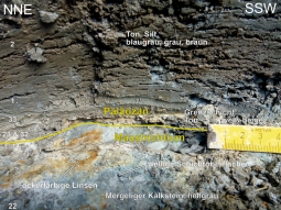 Detailausschnitt von der dünnen, hellen Grenzschicht. Dazu sind Kurzbeschreibungen der Gesteinsschichten, die Grenze zwischen Kreide (Maastrichtium) und Tertiär (Paläozän) und die Probenpunkte eingezeichnet.