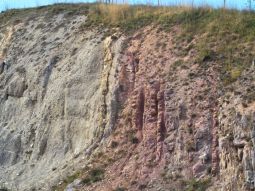 Steilgestellte Schichtfolge von Mergeln, Sandsteinen und Konglomeraten