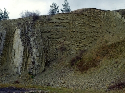 Große Faltenstrukturen im Steinbruch Herlas bei Forstlahm südlich Kronach, Oberfranken
