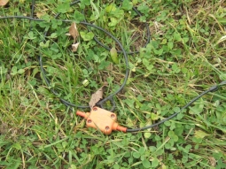 Gestecktes handgroßes Geophon mit Kabel im Wiesenboden.
