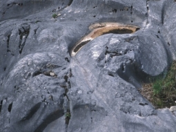 Freigelegte Spuren des Gletschers im Fels