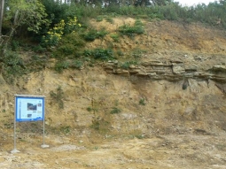 Schautafel am Geotop