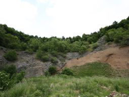 Mit Gebüschen zugewachsene Steinbruchwand Mit Gebüschen zugewachsene Steinbruchwand