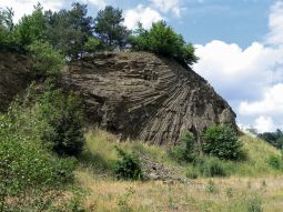 dunkle Basaltsäulen wie ein Fächer angeordnet