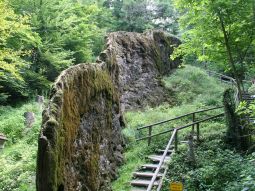 Steinerne Rinne mit Moosen