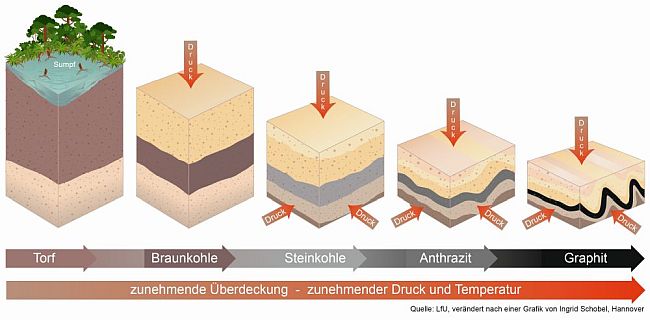 Fünf Quader die von links nach rechts für Torf, Braunkohle, Steinkohle, Anthrazit und Graphit stehen. Diese werden von links nach rechts immer mehr komprimiert, da der Druck auf das Gesteinspaket zunimmt. Damit verbunden wird der Flözhorizont von links nach rechts immer tiefer versenkt und verliert an Mächtigkeit.