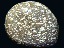Eiförmiges Felsstück mit hellen Einlagerungen