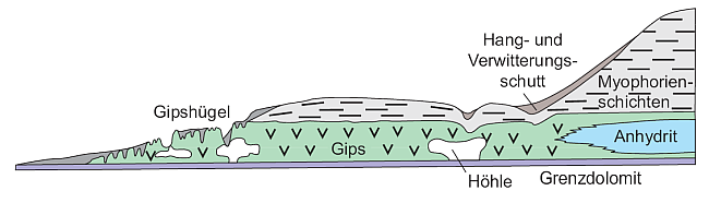  Rechts in der Abbildung sind alle Schichten, wie Myophorienschichten, Gips und Anhydrit erhalten. In der Mitte der Abbildung nimmt die Mächtigkeit der Schichten durch Verwitterung ab und es hat sich eine Höhle im Gips gebildet. Links sind die Myophorienschichten weggewittert, in den Gips dringt Wasser ein und löst diesen dabei auf.