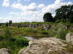 Blick in einen bewachsenen Steinbruch mit Abbauwänden, Bäumen, Gras und einem kleinen Teich.