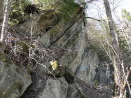 Die verwachsenen Felswände des Steinbruchs.