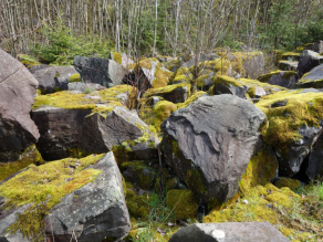 Mehrere Meter-große, dunkelgraue Gesteinsbrocken, stellenweise mit Moos bewachsen.