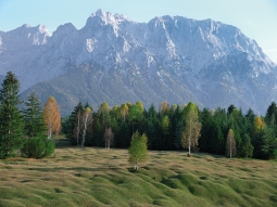 Blick auf das Karwendelgebirge