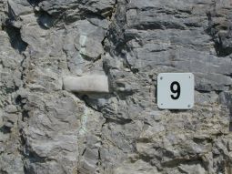 Ein Riss in einer Felswand ist mit einem Zementstreifen überstrichen, Die Stelle ist mit einer nummerierten Plakette markiert.
