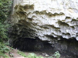 Felswand mit Rundungen aus denen die Mühlsteine gebrochen wurden.