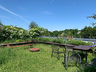 Begehbares Dach am Ackermannbogen in München mit Tischen und Stühlen bei blauem Himmel. Das Dach ist begrünt mit Rasen, Staudenbeet und Sträuchern.