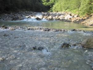 Der Fluss Halbammer in Oberbayern.
