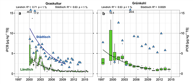Rückgang der Gehalte an Indikator-PCB in Graskulturen und Grünkohl. Erläuterung im vorhergehenden Text.