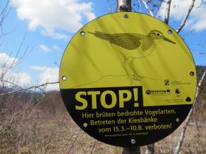 Rundes Schild an Baum genagelt mit gezeichnetem Vogel darauf. Darunter steht:  Stop! Hier brüten bedrohte Vogelarten. Betreten der Kiesbänke vom 15.3. - 10.8. verboten.