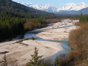 Breites Flussbett mit weißen Kiesbänken und blauem Wasser umgeben von Bergwald, im Hintergrund verschneite Bergkämme