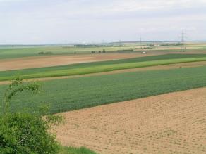 Feldlandschaft