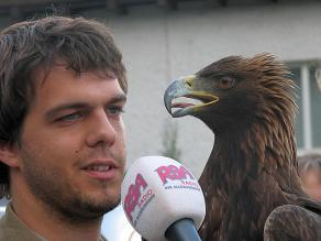 Pfleger und Steinadler beim Interview