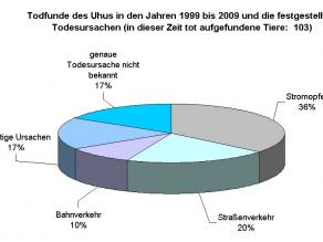 Kuchendiagramm: Todesursache nicht bekannt 17%, Stromopfer 36%, Straßenverkehr 20%, Bahnverkehr 10%, Sonstige Ursachen 17%