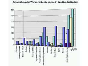 Entwicklung der Wanderfalkenbestände in den einzelnen Bundesländer jeweils für die Jahre 1950, 1975, 1994 und 2007. In allen Bundesländern kam es seit den 1950er Jahren zu einem starken Zusammenbruch der Bestände. Seit den 1990er Jahren zeigen alle Bestände wieder eine gewisse Erholung, mit Abstand die größten Zunahmen (mindestens Verdoppelung gegenüber der Zahl von 1950) zeigen sich in Baden-Württemberg und Bayern