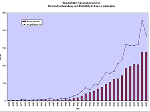 Säulendiagramm zur Entwicklung der außeralpinen Wanderfalkenbestände Bayerns von den 1970er Jahren als nur wenige Brutpaare nachgewiesen werden konnten und auch nur ganz vereinzelt Jungvögel ausflogen, bis zu dem Beginn der Bestandserholung seit Anfang der 1990er Jahre bis 2008 wo ca. 140 Brutpaare nachgewiesen werden konnten, die fast 200 Jungvögel aufziehen konnten