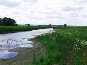 Auf dem Foto ist ein breites Fließgewässer zu sehen. Die Altmühl hat im linken Bildrand den Prallhang mit steilen Ufern. Im rechten Bildrand lässt sich der Gleithang mit Schlamm- und Schlickflächen der Altmühl erkennen.