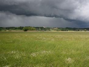 Wiesenlandschaft im Königsauer Moos