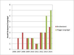 Balkengrafik Anzahl Brutpaare - Jahr (Brutbestand/Flügge Jungvögel): 2007 (2/0), 2008 (2/0), 2009 (2/2), 2010 (2/2), 2011 (1/1), 2012 (3/3), 2013 (3/6), 2014 (4/7).