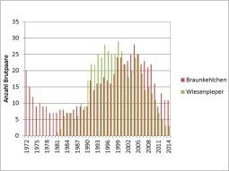 Balkengrafik Anzahl Brutpaare - Jahr (Braunkehlchen/Wiesenpieper) - Trend 1972 - 2014: Braunkehlchen (1972 beginnend mit 20, abfallend 1984 auf 7, anweigend bis 2006 auf 27 und fallend bis 2014 auf 11), Wiesenpiper (seit 1981 mit 2, steigend bis 1999 auf 28 und wieder fallend bis 2014 auf 3).